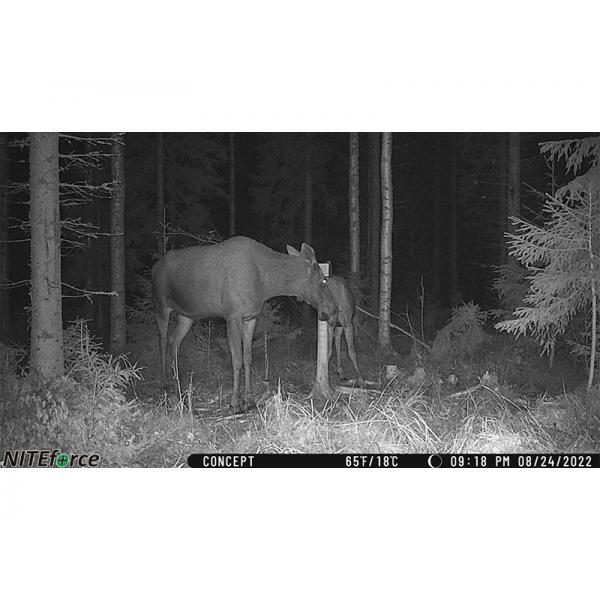 NITEforce 4G TRAILCAM CONCEPT 20 MP